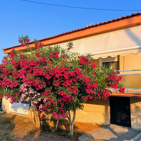 Alex House Thassos Semesterbostad *