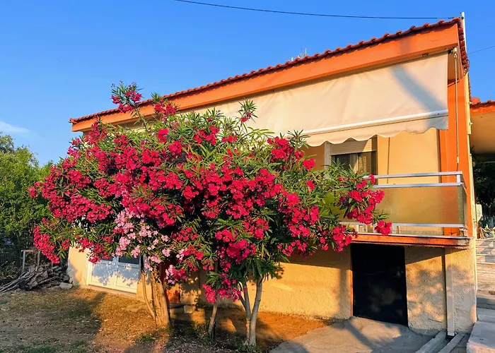 Alex House Thassos 度假居 *